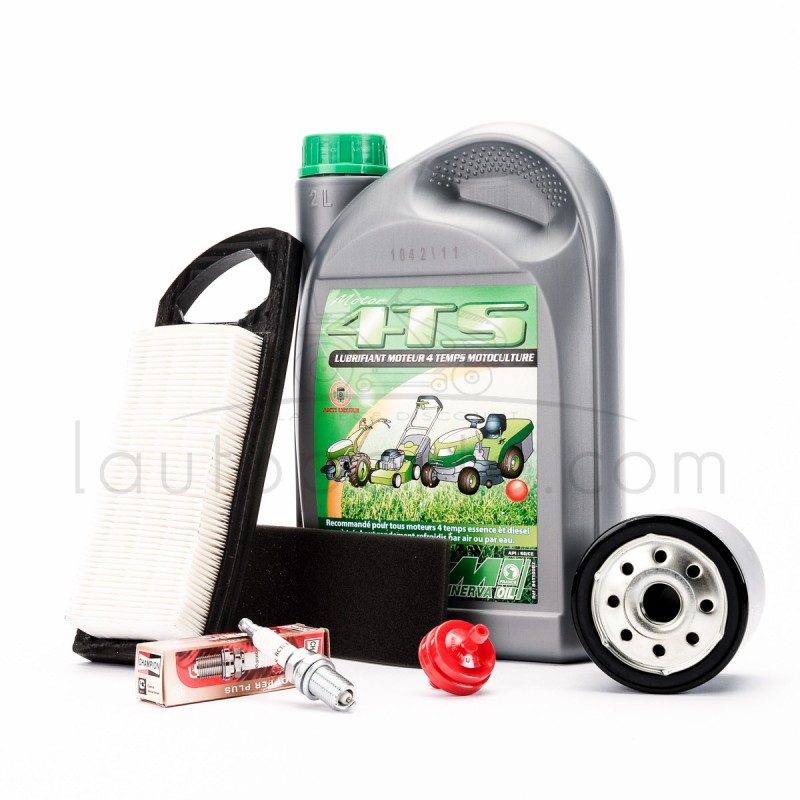 Pack révision moteur 14,5 cv - 18,5 cv OHV Pack révision moteur 14,5 cv - 18,5 cv OHV