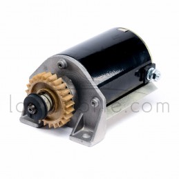 DÉMARREUR 24 DENTS RÉSINE BRIGGS & STRATTON