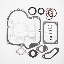 JOINTS MOTEUR SÉRIE 21 OHV ORIGINE BRIGGS & STRATTON 796181