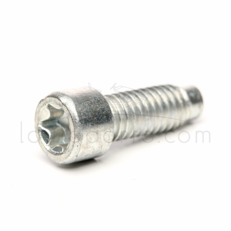 VIS ÉCHAPPEMENT OHV S. 21-28-31-33 ORIGINE BRIGGS & STRATTON ®