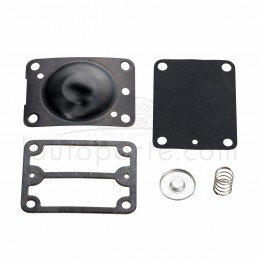 KIT JOINTS MEMBRANES RESSORT CARBU TWIN ORIGINE BRIGGS & STRATTON ®