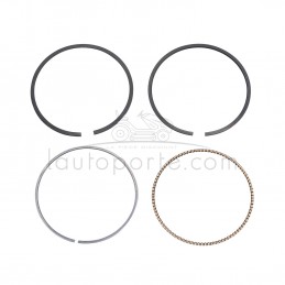 SEGMENTS Ø 79 MM V-TWIN OHV SÉRIE 44 ORIGINE BRIGGS & STRATTON ®