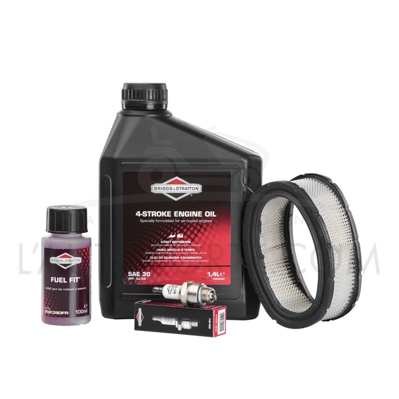 PACK MOTEUR 8 à 12 cv HP ORIGINE BRIGGS & STRATTON PACK MOTEUR 8 à 12 cv HP ORIGINE BRIGGS & STRATTON
