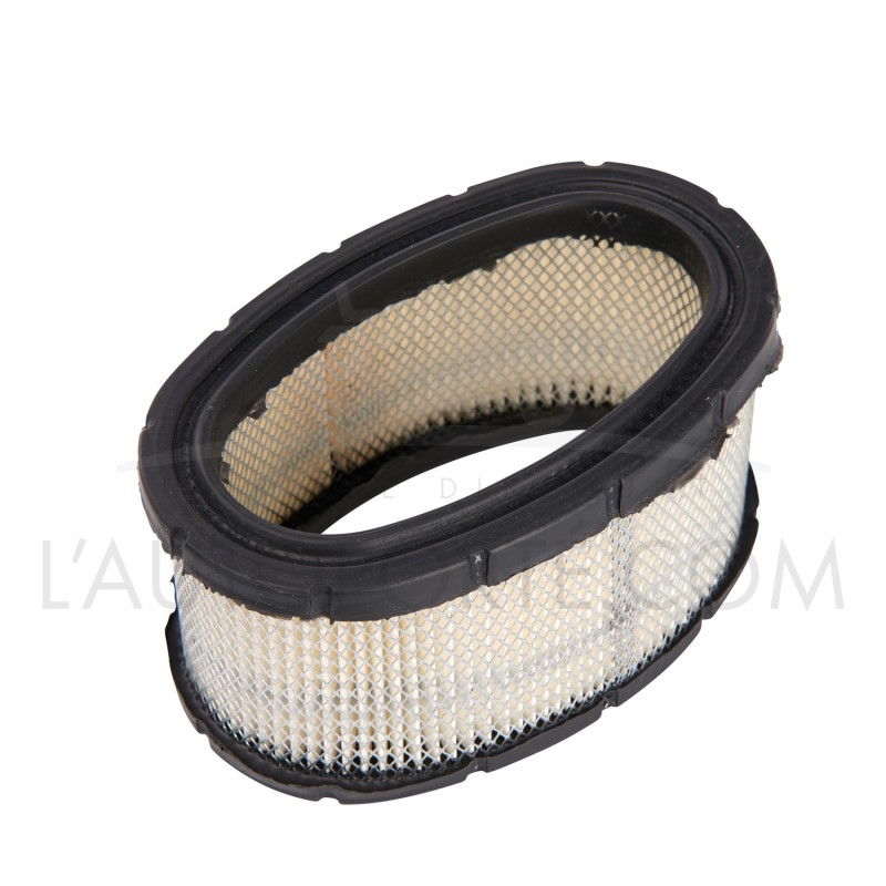 FILTRE À AIR HP SÉRIE 25 ORIGINE BRIGGS & STRATTON ® 393725 FILTRE À AIR HP SÉRIE 25 ORIGINE BRIGGS & STRATTON ® 393725