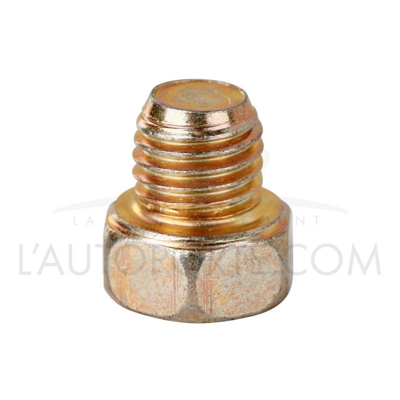 VIS DE CUVE CARBURATEUR ORIGINE BRIGGS & STRATTON ®