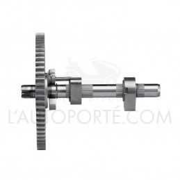 ARBRE À CAMES MOTEUR OHV SÉRIE 21-31-33 BRIGGS & STRATTON ARBRE À CAMES MOTEUR OHV SÉRIE 21-31-33 BRIGGS & STRATTON