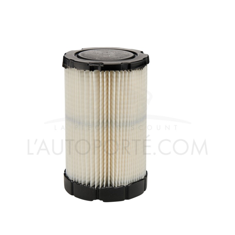 FILTRE À AIR SÉRIE 31 OHV & V-TWIN 40-44 ORIGINE BRIGGS & STRATTON ® 594201 FILTRE À AIR SÉRIE 31 OHV & V-TWIN 40-44 ORIGINE BRIGGS & STRATTON ® 594201
