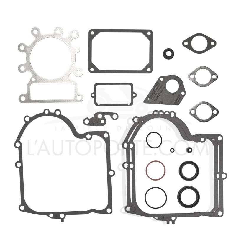 JOINTS MOTEUR SÉRIE 28 OHV ORIGINE BRIGGS & STRATTON 495993 JOINTS MOTEUR SÉRIE 28 OHV ORIGINE BRIGGS & STRATTON 495993