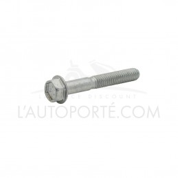 VIS DE CULASSE OHV S. 21-28-31 ORIGINE BRIGGS & STRATTON ®
