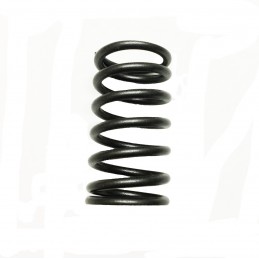 RESSORT SOUPAPE ADM & ÉCHAP V-TWIN S. 29-30-35-38 ORIGINE VANGUARD ®
