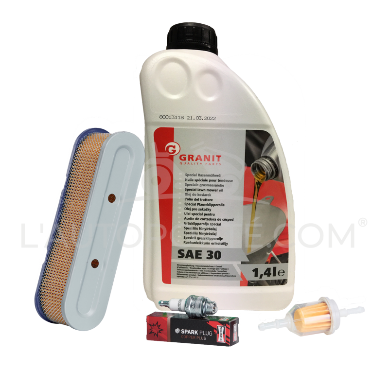 PACK RÉVISION MOTEUR TECUMSEH 10 à 12 cv