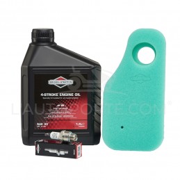 PACK RÉVISION MOTEUR HP S. 17 - 19 ORIGINE BRIGGS & STRATTON ®