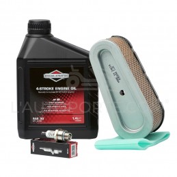 PACK RÉVISION MOTEUR HP 28 ORIGINE BRIGGS & STRATTON ®