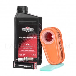 PACK RÉVISION MOTEUR RIDER OHV S. 11-12-14 ORIGINE BRIGGS & STRATTON ®