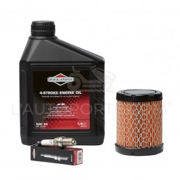 PACK RÉVISION MOTEUR OHV S. 21 ORIGINE BRIGGS & STRATTON ®