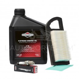 PACK RÉVISION MOTEUR OHV S. 21 ORIGINE BRIGGS & STRATTON ®