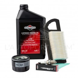 PACK RÉVISION MOTEUR OHV S. 21 ORIGINE BRIGGS & STRATTON ®