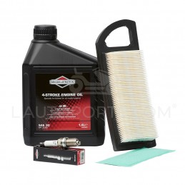PACK RÉVISION MOTEUR OHV S. 31 ORIGINE BRIGGS & STRATTON ®