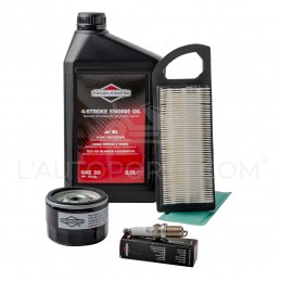 PACK RÉVISION MOTEUR OHV S. 31 ORIGINE BRIGGS & STRATTON ®