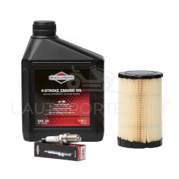 PACK RÉVISION MOTEUR OHV S. 31 ORIGINE BRIGGS & STRATTON ®