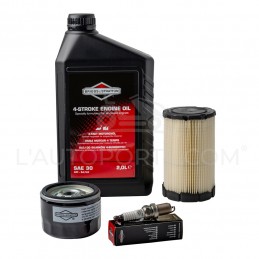 PACK RÉVISION MOTEUR OHV S. 31 ORIGINE BRIGGS & STRATTON ®