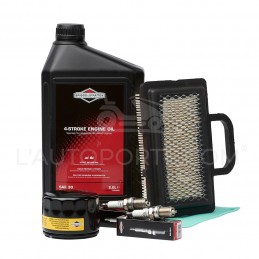 PACK RÉVISION MOTEUR V-TWIN OHV S. 40 - 44 ORIGINE BRIGGS & STRATTON ®