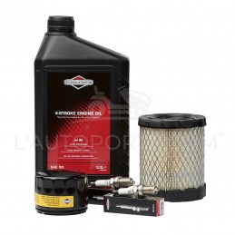 PACK RÉVISION MOTEUR V-TWIN OHV S. 40-44-49 ORIGINE BRIGGS & STRATTON ®