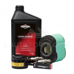 PACK RÉVISION MOTEUR V-TWIN OHV S. 40-44-49 ORIGINE BRIGGS & STRATTON ®