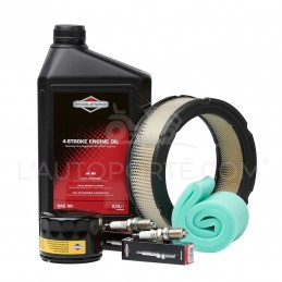 PACK RÉVISION MOTEUR V-TWIN S. 29-30-35 ORIGINE VANGUARD ®