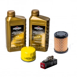 PACK RÉVISION MOTEUR RACING OHV S. 21 ORIGINE BRIGGS & STRATTON ®