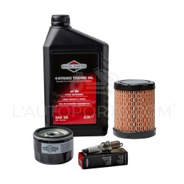 PACK RÉVISION MOTEUR OHV S. 21 ORIGINE BRIGGS & STRATTON ®
