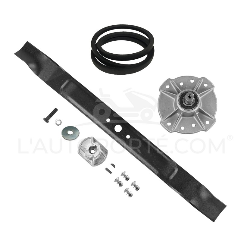 PACK PALIER + LAME 66 cm + COURROIE + VISSERIE CASTELGARDEN RIDER MJ66