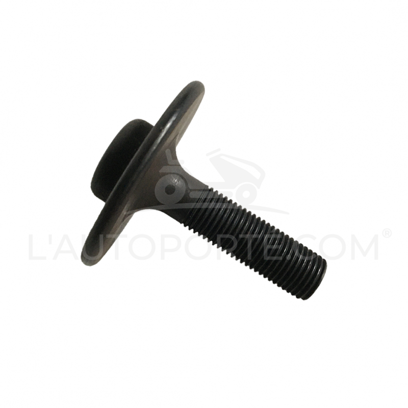 VIS EMBRAYAGE DE LAMES POUR RIDER EL63 CASTELGARDEN