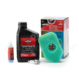 PACK RÉVISION MOTEUR SÉRIES 09-10 ORIGINE BRIGGS & STRATTON ®
