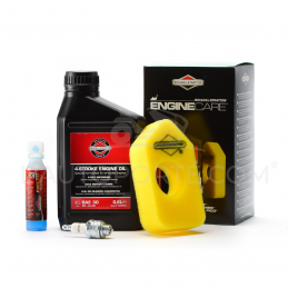 PACK RÉVISION MOTEUR SÉRIES 09-10 ORIGINE BRIGGS & STRATTON ®