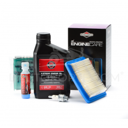 PACK RÉVISION MOTEUR SÉRIES 11-12-13 ORIGINE BRIGGS & STRATTON ®