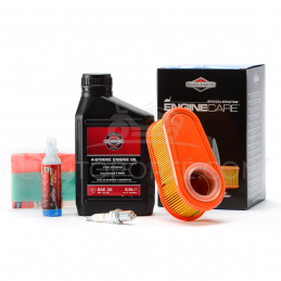 PACK RÉVISION MOTEUR OHV SÉRIES 11-12-14 ORIGINE BRIGGS & STRATTON ®