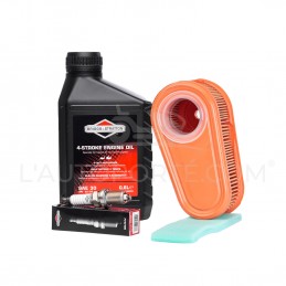 PACK RÉVISION MOTEUR RIDER...