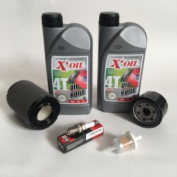PACK RÉVISION MOTEUR THORX OHV 382 & 439 cc MTD