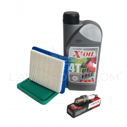 PACK RÉVISION MOTEUR BRIGGS & STRATTON SÉRIE 11-12-13 TONDEUSE RIDER