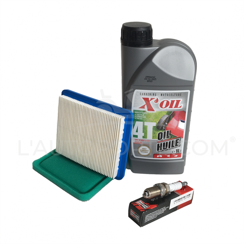 PACK RÉVISION MOTEUR BRIGGS & STRATTON SÉRIE 11-12-13 TONDEUSE RIDER