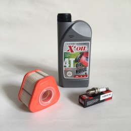 PACK RÉVISION MOTEUR BRIGGS & STRATTON SÉRIE 123 TONDEUSE RIDER