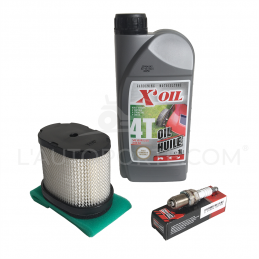 PACK RÉVISION MOTEUR BRIGGS & STRATTON SÉRIE 12 TONDEUSE RIDER