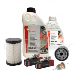 PACK RÉVISION MOTEUR BICYLINDRES SÉRIE 40-44 OHV BRIGGS & STRATTON