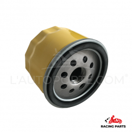 FILTRE À HUILE ANTI-RETOUR POUR MOTEUR OHV BRIGGS & STRATTON