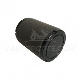 FILTRE À AIR + MOUSSE MOTEUR THORX OHV 382 / 439 CC MTD