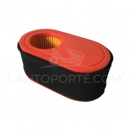 FILTRE À AIR + MOUSSE MOTEUR THORX OHV 420 CC MTD