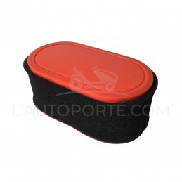 FILTRE À AIR + MOUSSE MOTEUR THORX OHV 420 CC MTD
